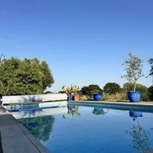 Piscine au petit matin, jardin arboré